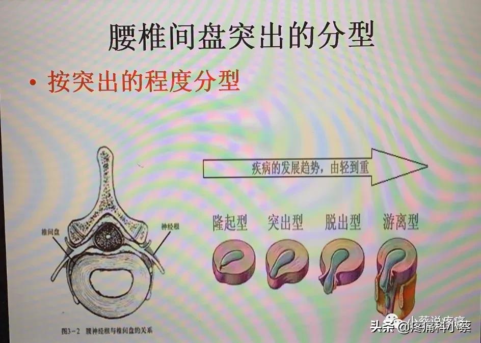 蔡主任讲座视频,蔡主任团队