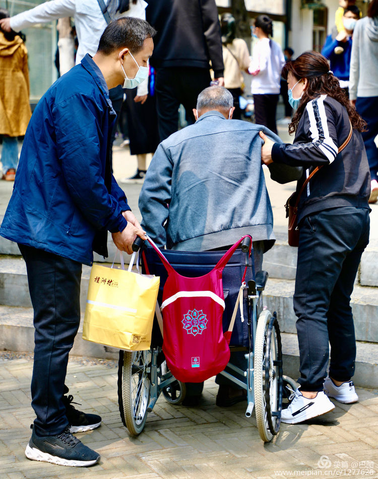 看洛阳牡丹花卉节,洛阳古都牡丹花展