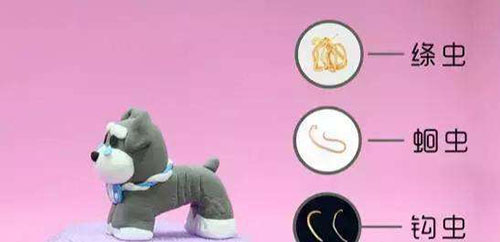 狗狗吃体内驱虫药后拉稀特别臭,狗狗不吃东西还拉稀特别臭