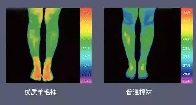 鍗疯¥鑴氶湶琚滆鏁欏,绉嬪啲鍗疯¥鑵块湶鑴氳笣
