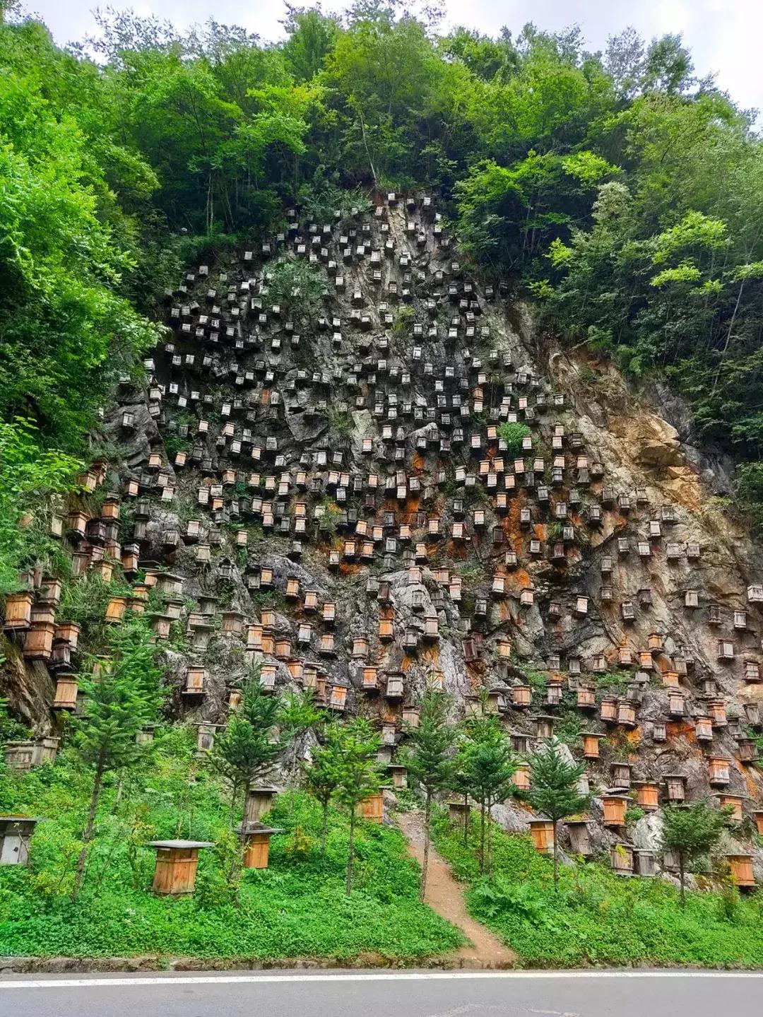 神农架攻略书,重庆出发神农架三日自驾游攻略