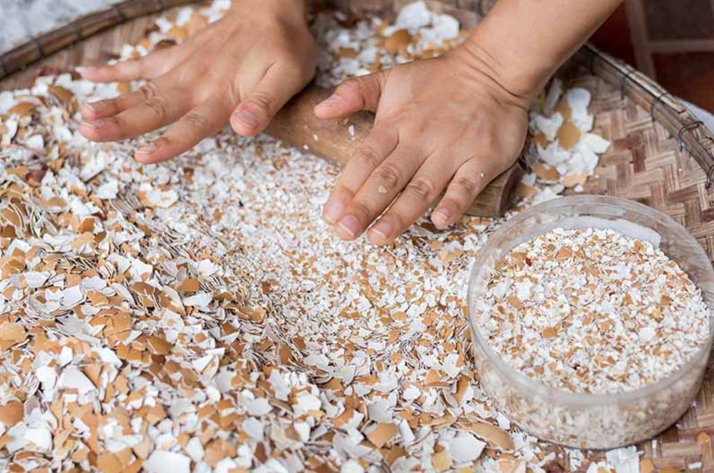 6种“垃圾”不要扔，装水瓶里泡一泡，肥的流油，养花一级棒