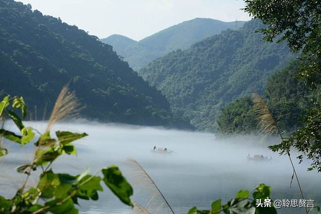 自嘲古诗词经典名句,自嘲一首七言绝句