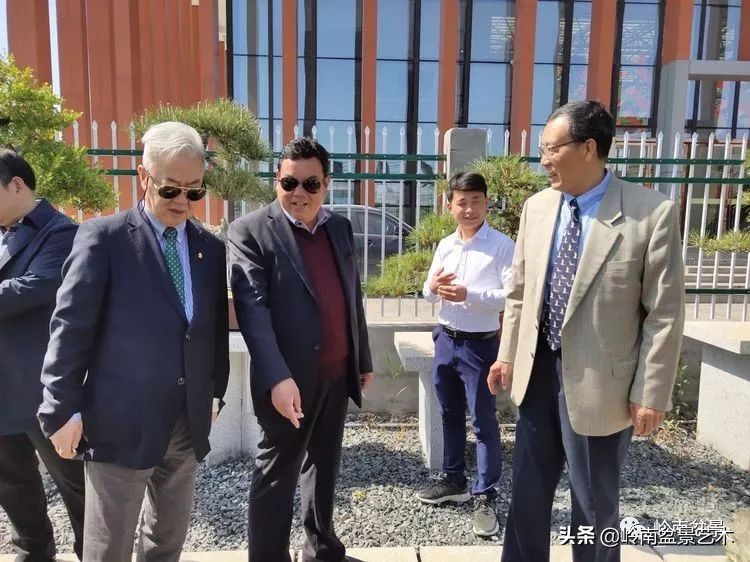 盆景产业的前景,我的盆景创业之路