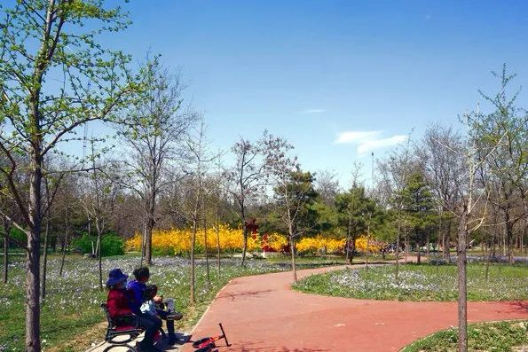 北京戒台寺郊野公园,北京燕山东岭郊野公园