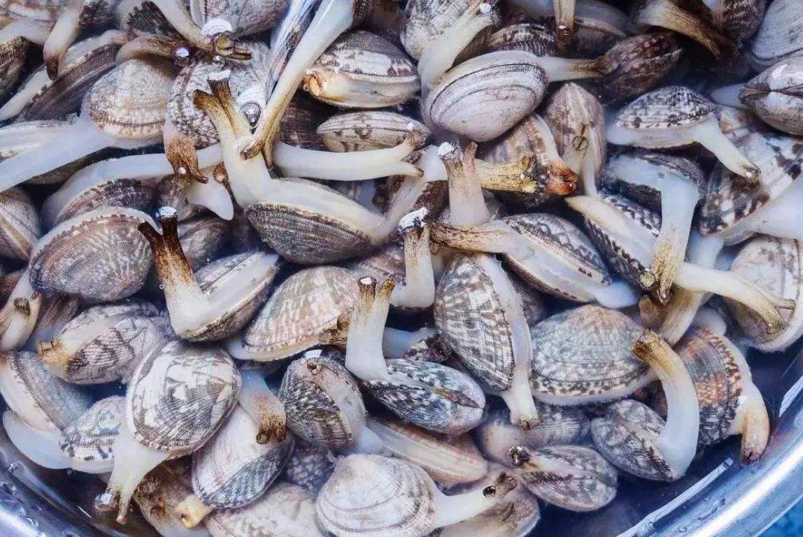 烟台牟平人分不清这些,请走开