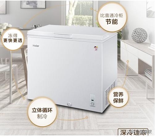 家用小冰柜什么牌子好价格是多少,国产冰柜哪个牌子的质量好