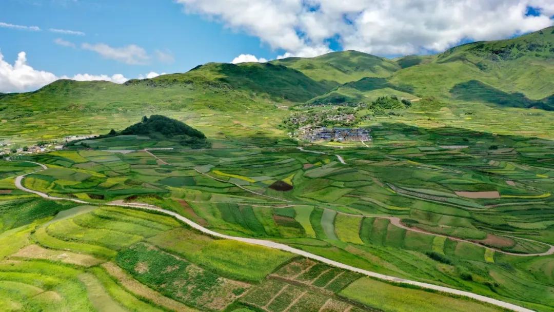 陇南市云上金马池,卧云铺清凉避暑好去处