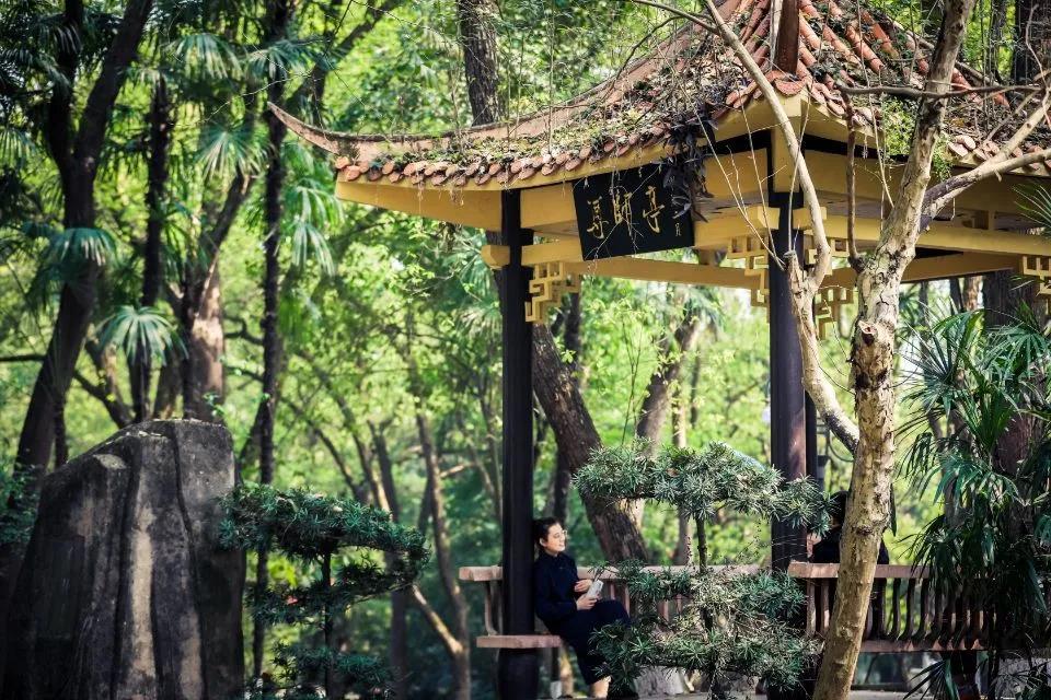 重庆还有这么一所特色大学，*小平邓**胞弟出任校长，办学历史可追溯至114年前！