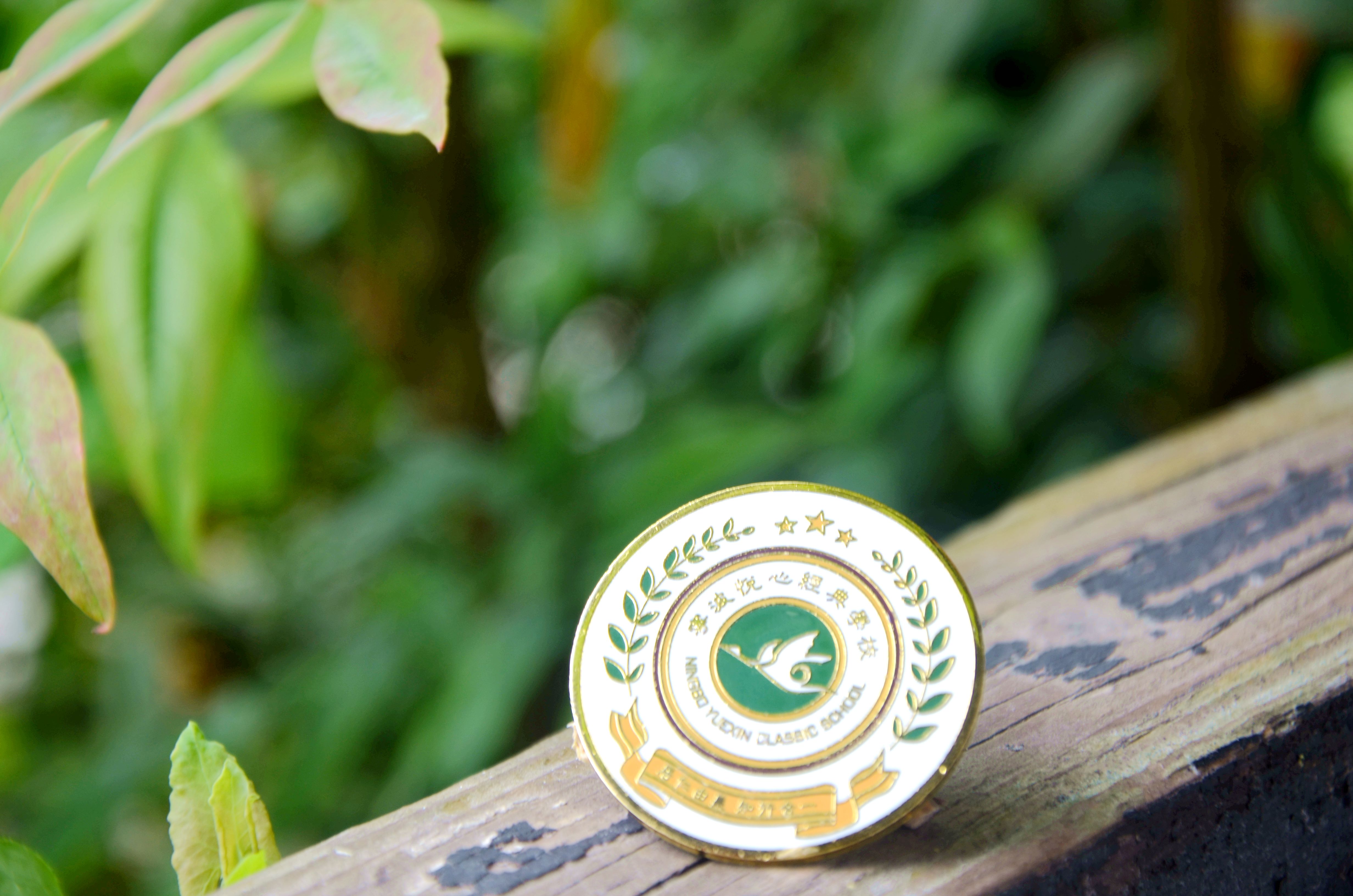 宁波悦心学校,宁波悦心学校好不好