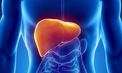 沈阳六院“人工肝”项目挂牌,对重型肝炎、肝衰竭患者是大好事!