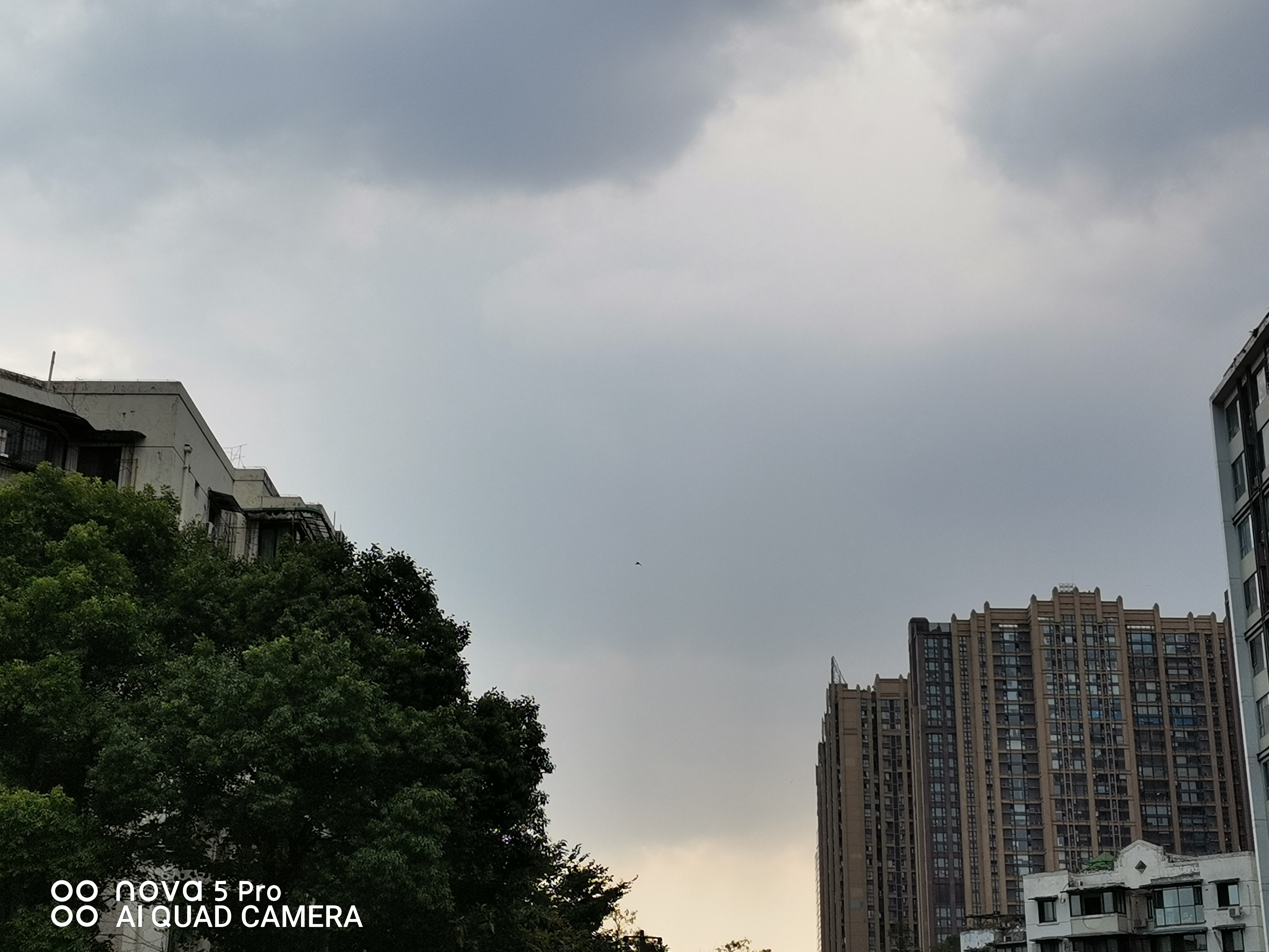 现在华为nova5pro还值得购买吗,华为nova5pro和nova5区别