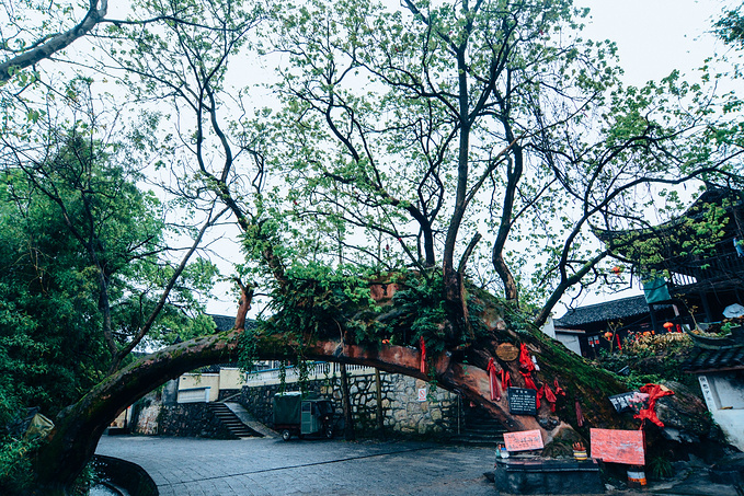 疫情对湖南这里居然丝毫没有影响！0病发，还超级适合徒步旅行！