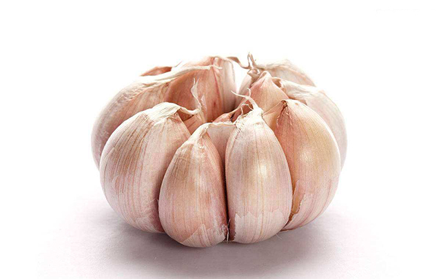 钓鱼奇葩饵料,你们用过最好用的饵料