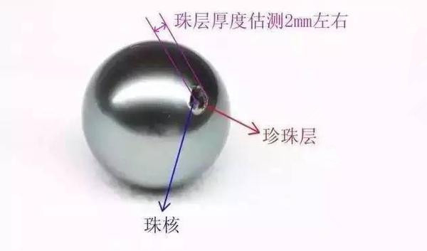 真珍珠和假珍珠的区别在哪里,真珍珠和假珍珠有什么区别