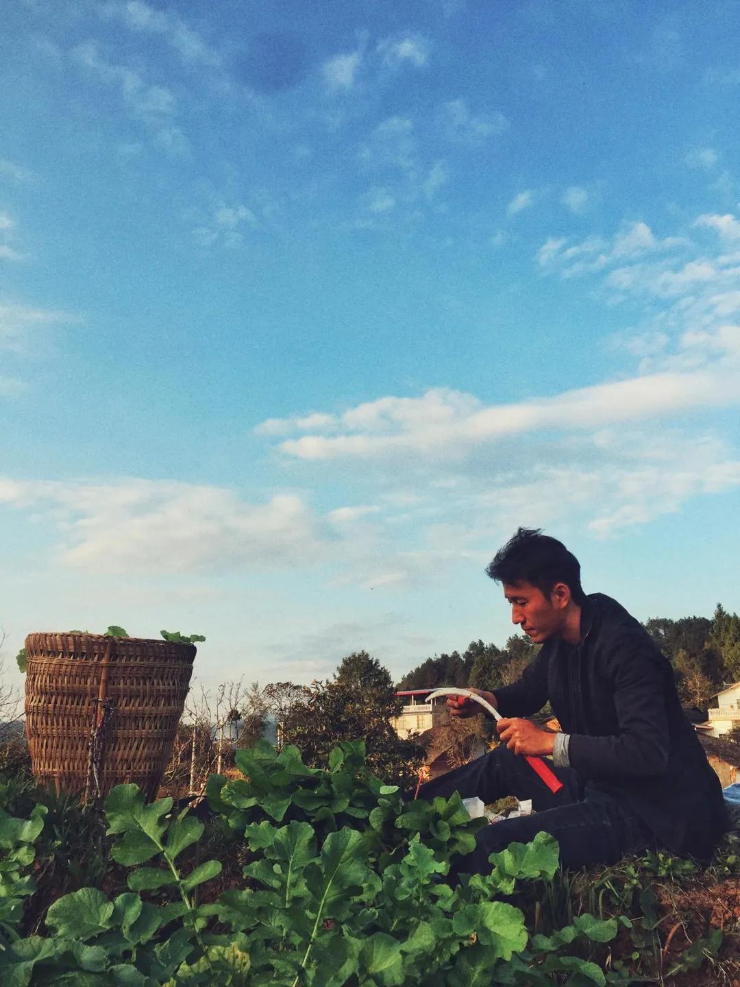 在农村年收入25万,风险指数低,且看我如何做到