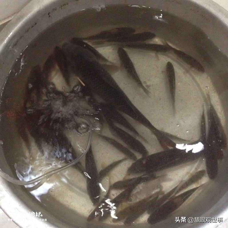 侯海洋和秋云的结局,侯海洋与秋云的重逢