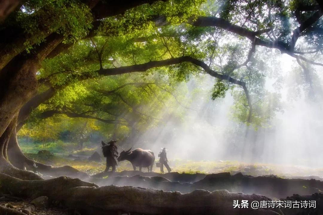 读一本好书做一个有趣的人,读有趣诗文