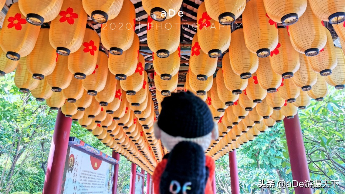 三水芦苞温泉度假村门票多少,三水芦苞温泉度假村有独立池吗