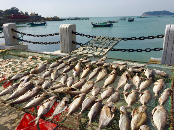 最美的最原始的渔村,最美渔村图片