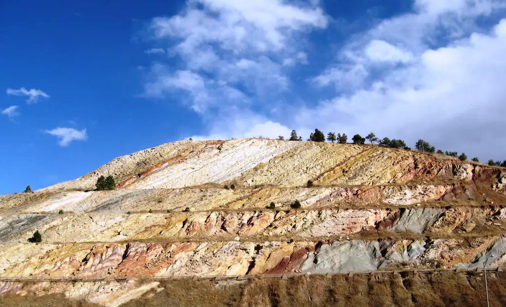 6600万年前大恐龙骨架拍卖，龙角超过1米，生前是霸王龙的食物