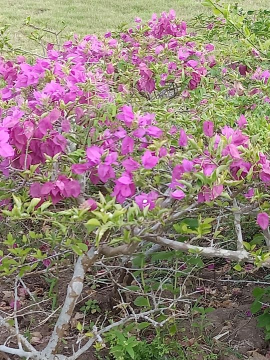 万宁海边的深海,万宁夜晚的海边