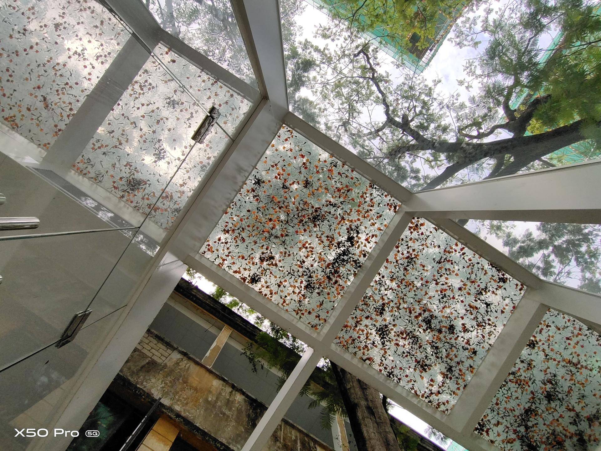 vivox50pro性能深度测评,vivox50pro云台的使用