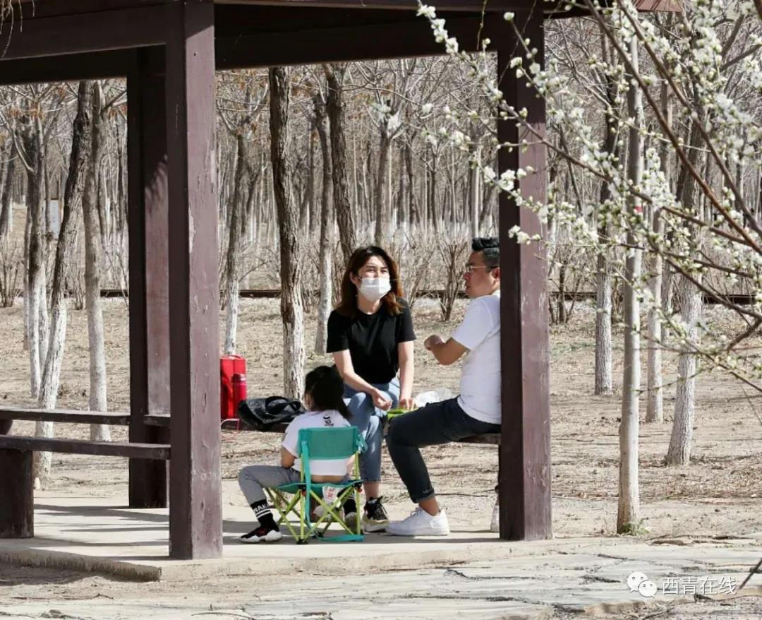 泰安免费公园和踏青好去处,准备好了吗带你畅游河南