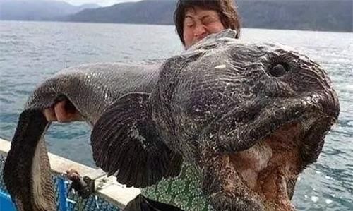 核辐射的日本人还活着吗,福岛核辐射日本人健康程度