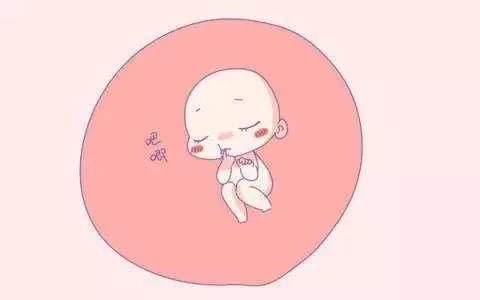 胎停育后多久可以去医院调理备孕,胎停育后再次怀孕要注意什么