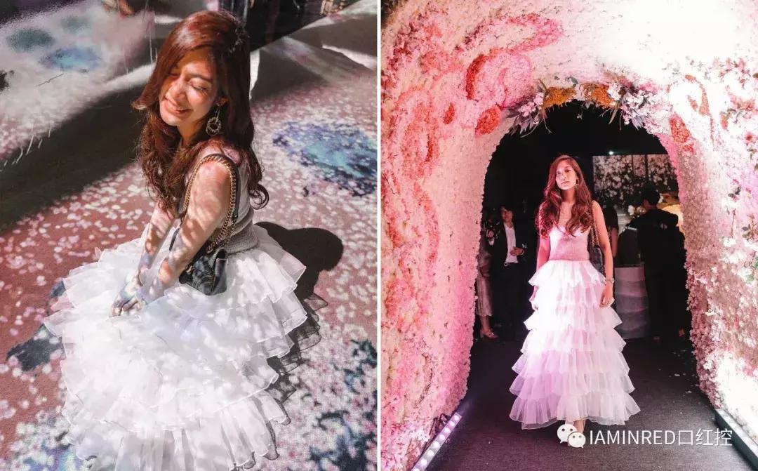 什么时候去日本看樱花比较好,现在还有必要去日本看樱花吗