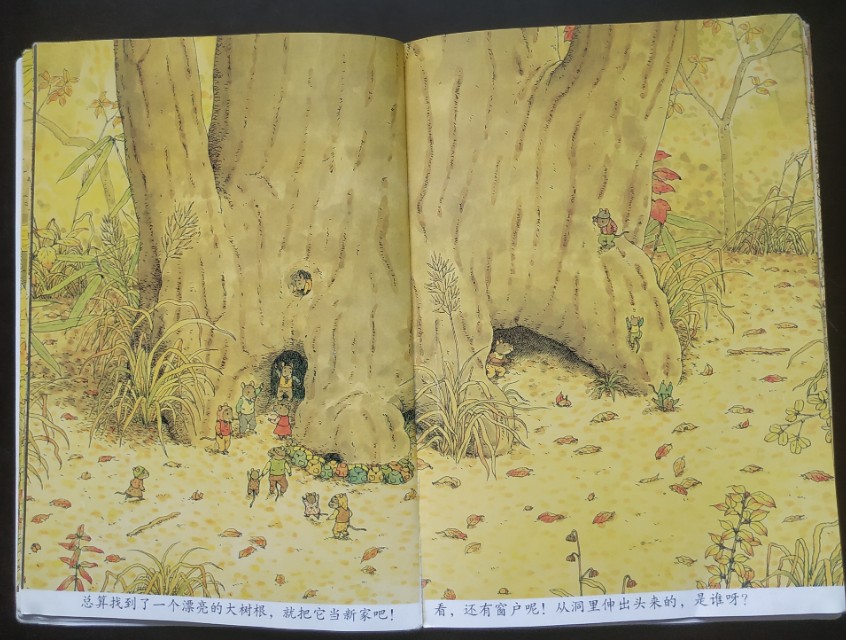 十四只老鼠绘本完整版,14只老鼠好书推荐