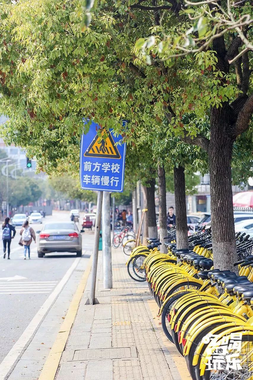 麓山南路门店,麓山南路店铺