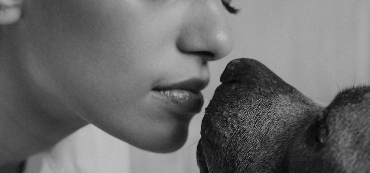 面对宠物死亡怎么度过这段日子,为什么家里的宠物接连死亡