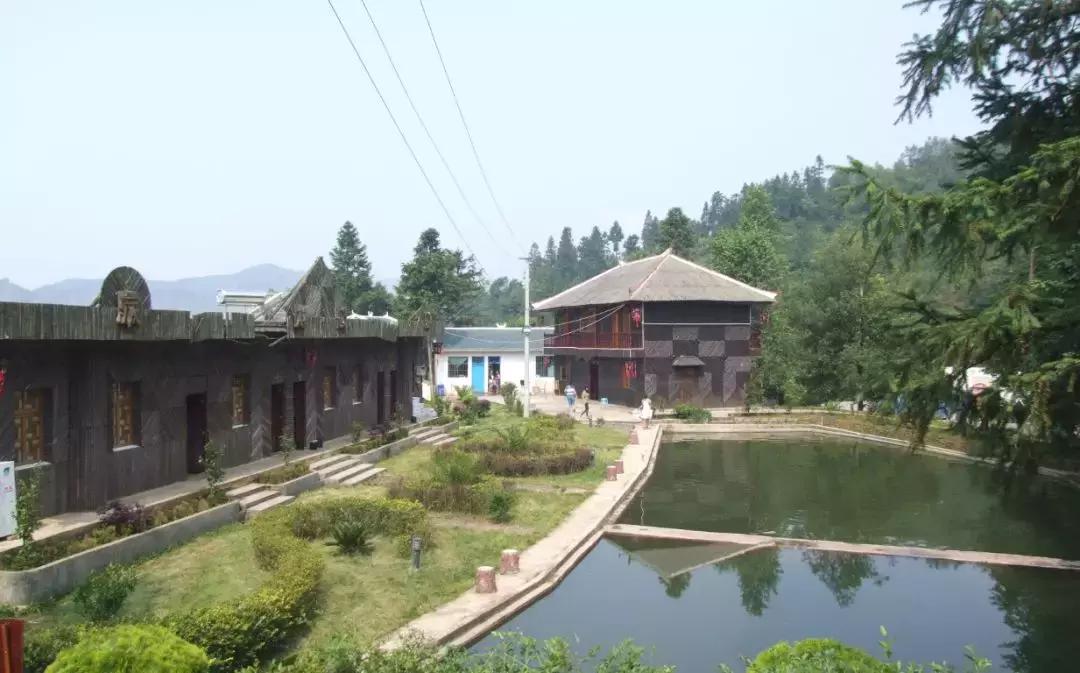 人民小酒董事长余留芬,余留芬人民小酒来源