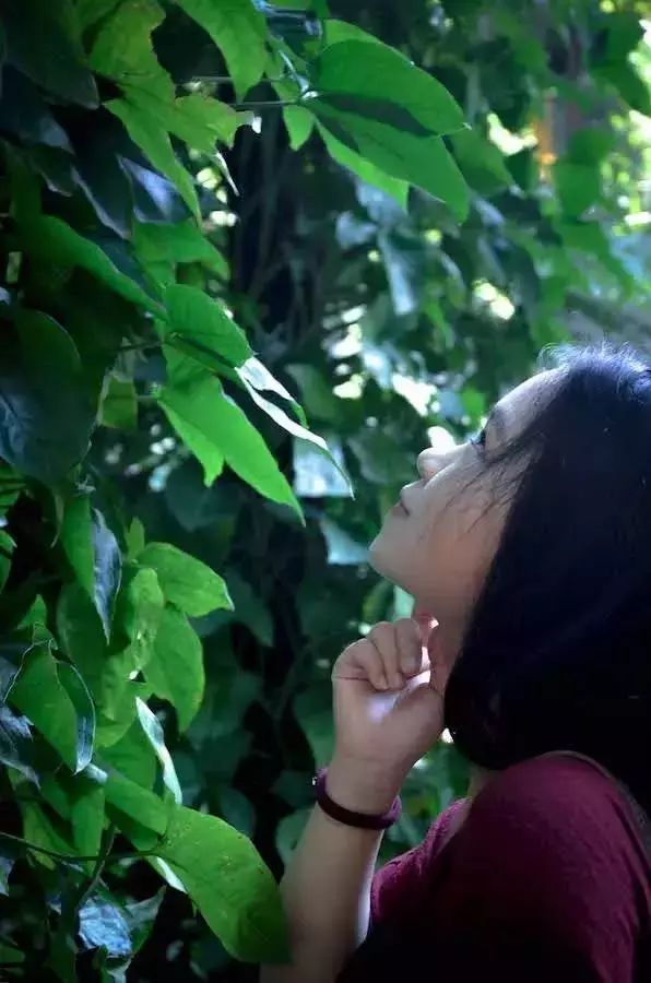 深山老林自建豪华木屋隐居生活,90后小情侣隐居深山建别墅仅花6万