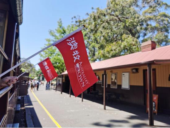 多平台联动引爆全网,“2019澳牧约你游澳洲”圆满收官