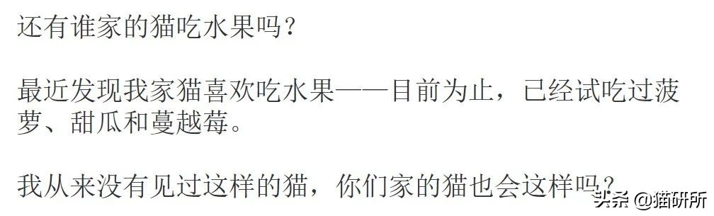 猫属于肉食动物一般不吃什么,猫咪是肉食动物为什么也吃饼干