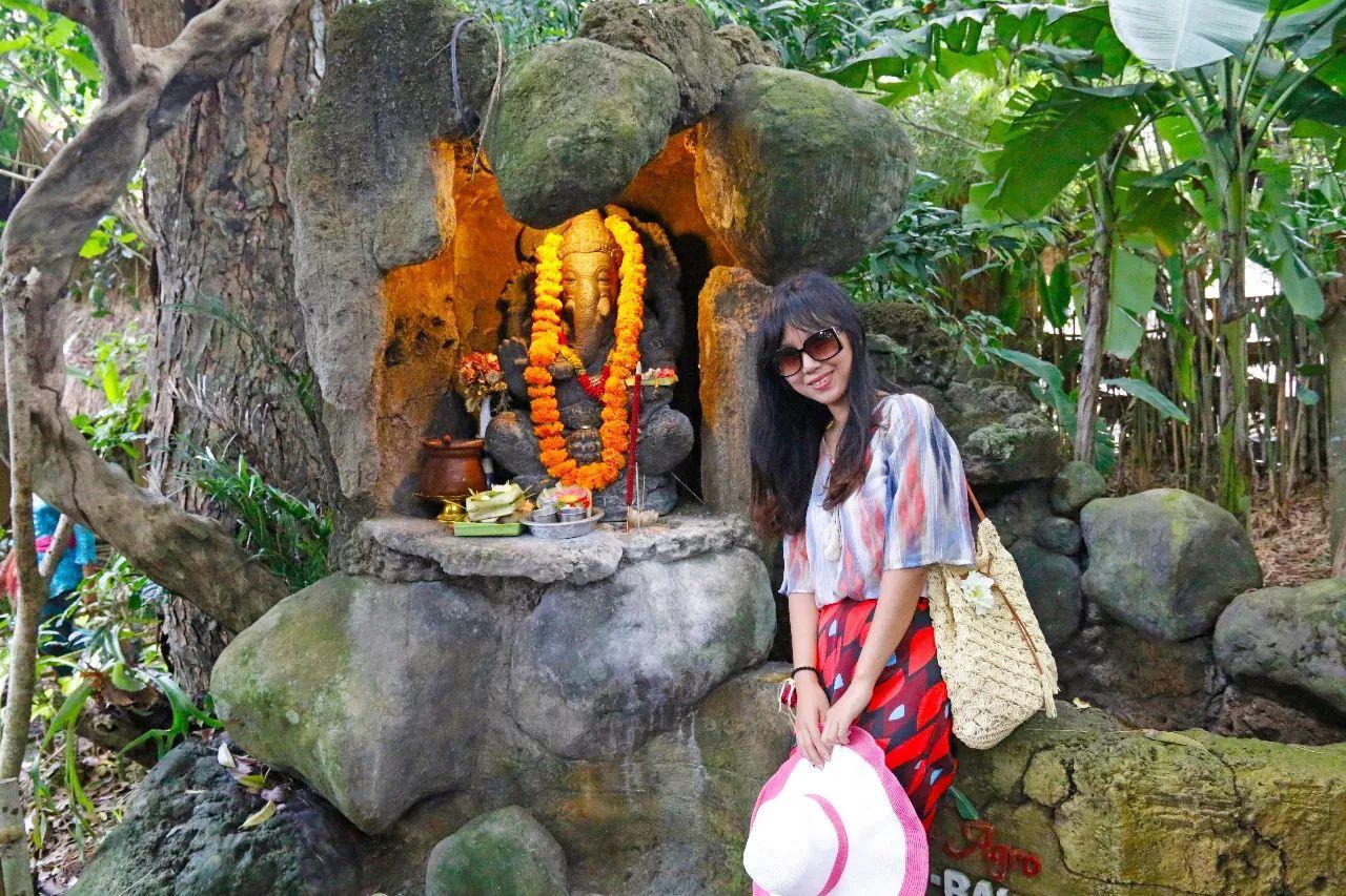 一杯咖啡卖到6200元,全网最正宗的猫屎咖啡