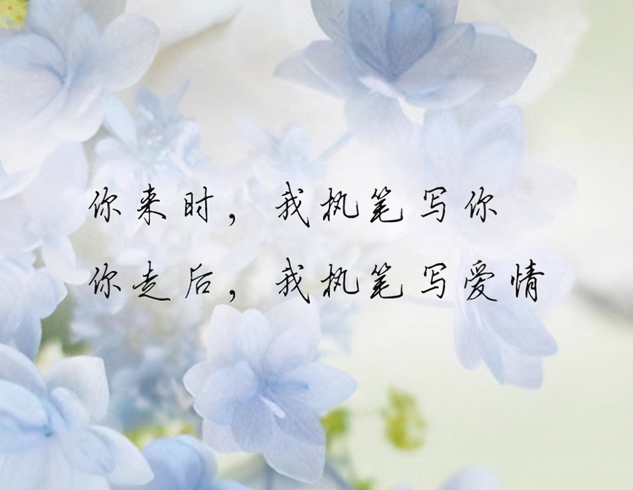 致爱过的你:“我喜欢现在的自己,怀念过去的我们”