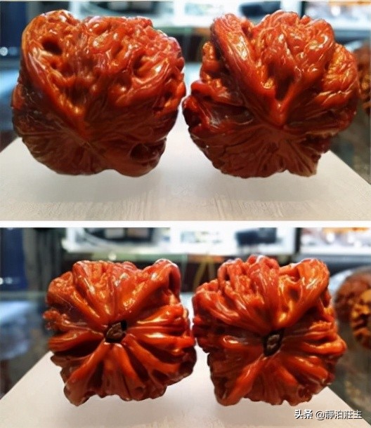 磨盘狮子头核桃怎么看品相,白狮子核桃和磨盘狮子头哪个好