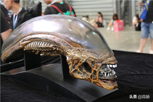 wf手办展飞天,wf上海限定手办