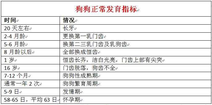 狗狗感冒了怎么办又不吃东西,狗狗感冒怎么办不用药