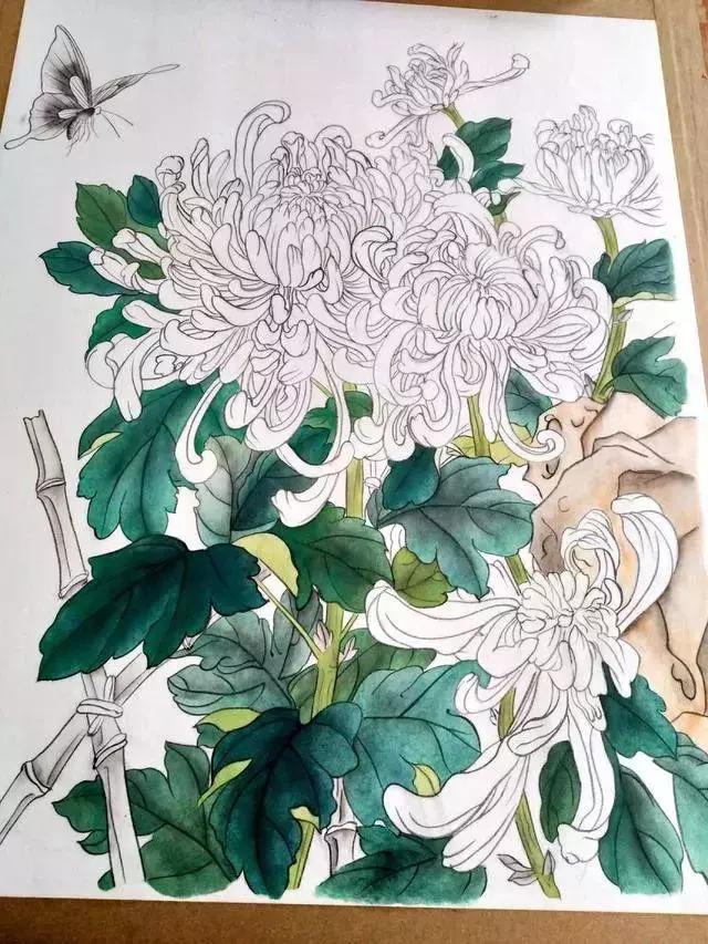 国画菊花教程工笔,工笔国画教程菊花蓝蝶