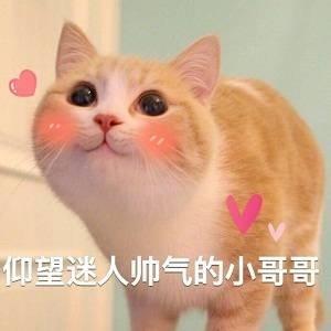 所谓感觉,女生的感觉是什么意思