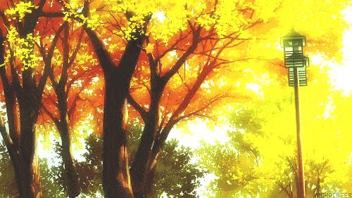 寒露已过，秋意浓，蟹脚痒