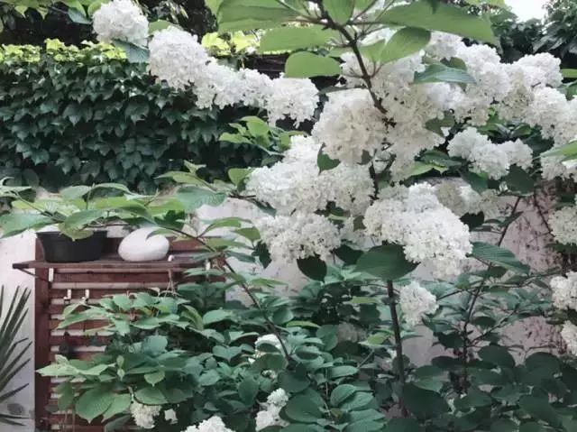 改造上海一家三口27平老房,小夫妻改造上海老房子装修40多万