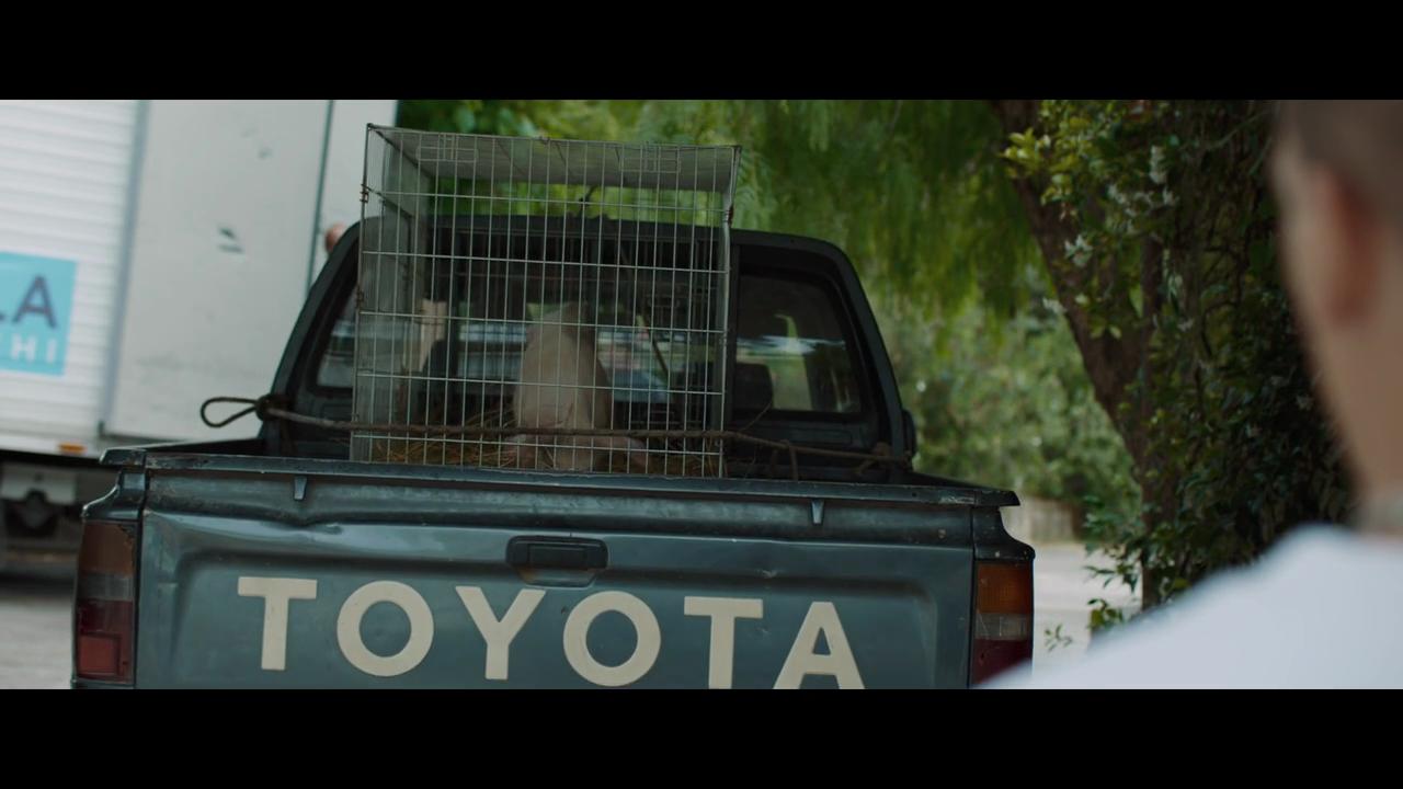 豆瓣7.1《冠军》：意甲豪门俱乐部天才球星的人生蜕变之旅