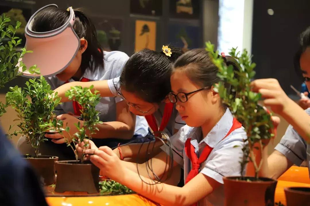 七彩夏日未成年人暑假系列活动,小学生七彩夏日暑假假期活动主题