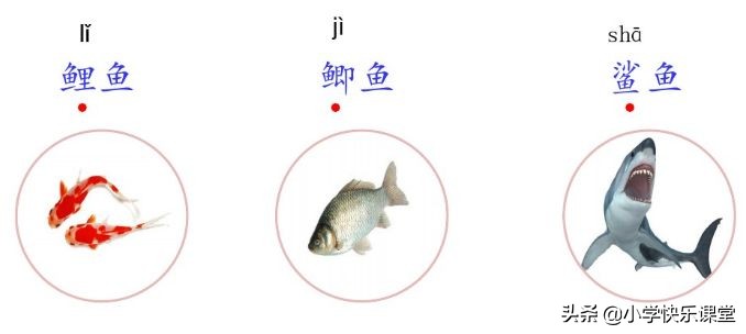 小学三年级部编版语文资料书推荐,小学部编语文课后习题答案